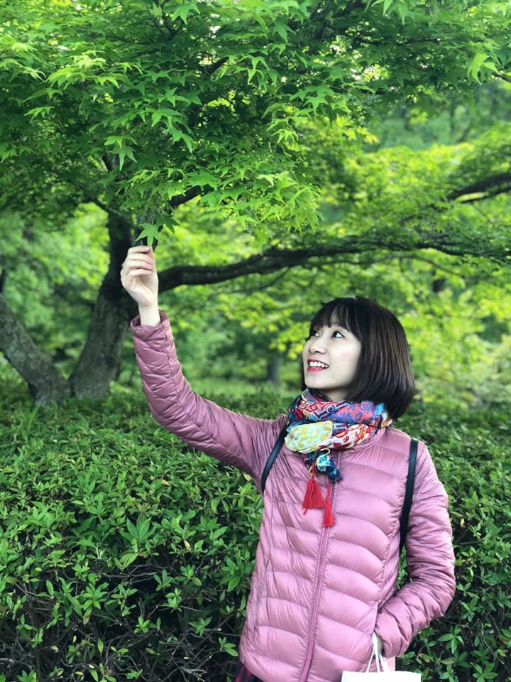 Những cây phong xanh mướt đầu hè. Những cây phong xanh mướt đầu hè.
