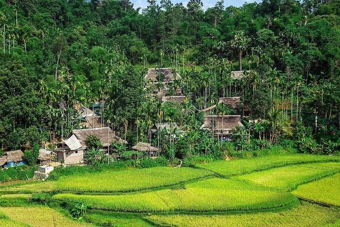 Bản làng, ruộng bậc thang, rừng nguyên sinh là những khung cảnh đặc trưng ở Pù Luông. Ảnh: Shutterstock/Ovu0ng.