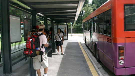 Xe bus ở Singapore