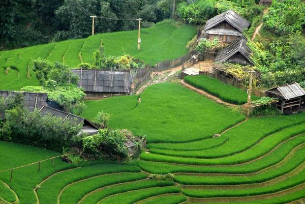 Khung cảnh yên bình của bản Cát Cát. Ảnh: dulichcauvong Khung cảnh yên bình của bản Cát Cát. Ảnh: dulichcauvong