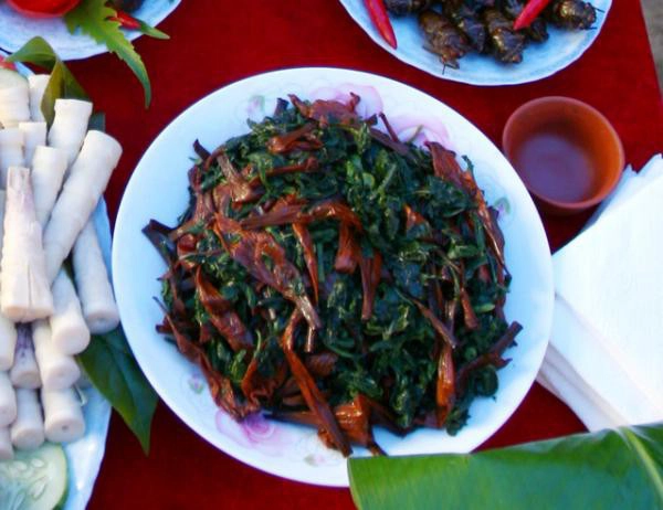 (Ảnh: Nguyễn Bắc)
