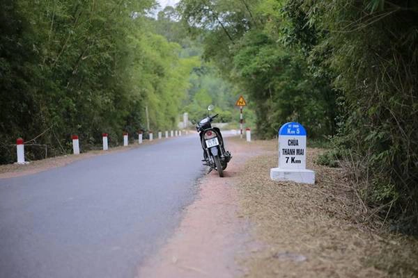 Để đến với chùa Thanh Mai, du khách đi theo dọc đường quốc lộ 18 hướng Hà Nội - Quảng Ninh. Con đường tìm về chốn cửa thiền không hề dễ dàng, quanh co ôm theo núi đã được vỗ về bởi không khí trong lành và ngắm nhìn phong mọc từ chân núi lên chùa. Ảnh: Chuồn chuồn Kym.