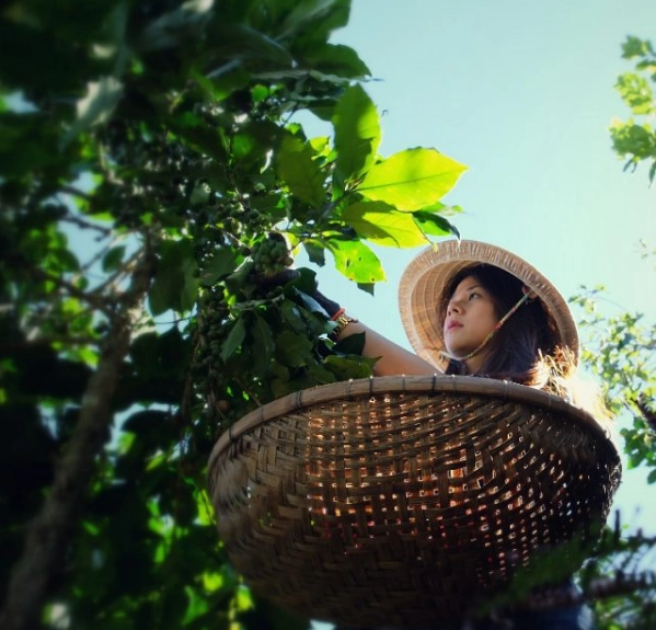 Bạn có thể đăng ký các tour tham quan học kèm chế biến cà phê. Ảnh: Là Việt Coffee Bạn có thể đăng ký các tour tham quan học kèm chế biến cà phê. Ảnh: Là Việt Coffee