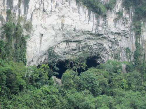 Cửa hang Dơi Cửa hang Dơi