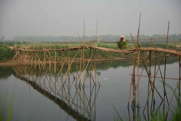 Những chiếc cầu tre để người dân thôn Cẩm Đồng qua lại thu hoạch hoa màu Những chiếc cầu tre để người dân thôn Cẩm Đồng qua lại thu hoạch hoa màu
