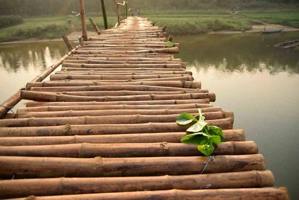 Một cọng rau rơi trên cầu Một cọng rau rơi trên cầu