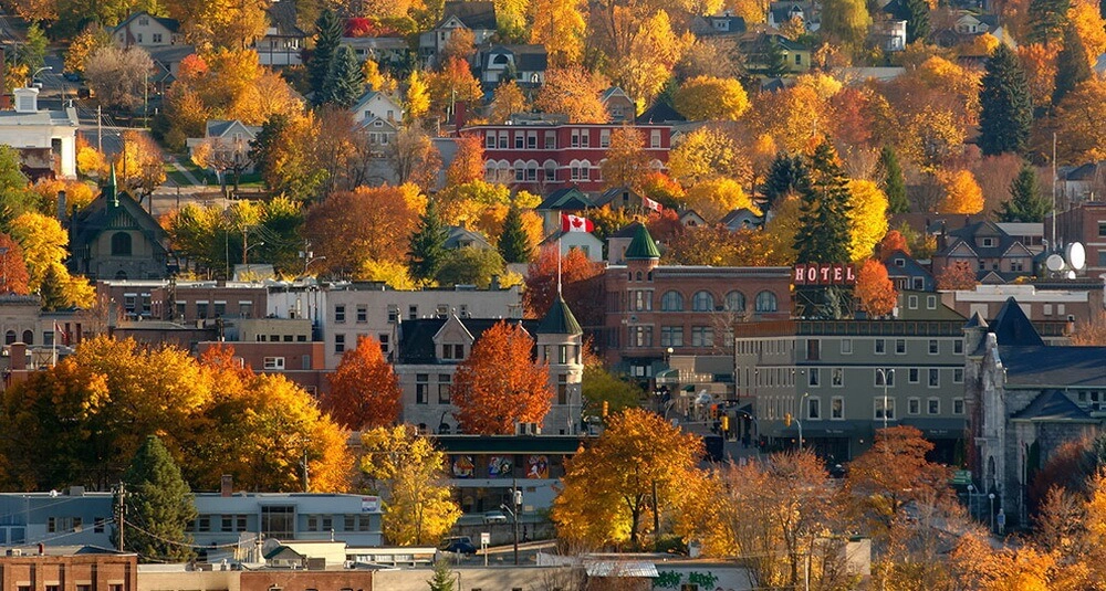 lac-loi-o-canada-mua-cay-thay-la-ivivu-3