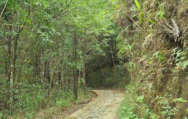 Con đường lát đá rêu phong lên đỉnh Bạch Mã. Con đường lát đá rêu phong lên đỉnh Bạch Mã.