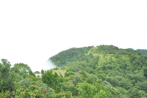 Đỉnh Bạch Mã cao nhất trong dãy Bạch Mã có độ cao khoảng 1.450m. Nơi đây có Hải Vọng Đài là điểm bạn có thể quan sát toàn bộ khung cảnh bên dưới với vịnh Lăng Cô phía xa xa, núi non trùng điệp hay dòng sông uốn lượn... Những ngày tháng 9, tiết trời rất đẹp bạn sẽ trầm trồ khi được ngắm mây vờn trên những đỉnh núi tạo nên vẻ đẹp tựa chốn bồng lai tiên cảnh. Những đám mây trắng khi thì lững lờ, lúc lại trôi rất nhanh. Có những lúc, mây phủ kín những dãy núi tạo thành không gian trắng xóa, mờ ảo. Có những khi mây chỉ lướt nhẹ theo đám nhỏ lấp ló những cánh rừng màu xanh tươi sự sống. Đỉnh Bạch Mã cao nhất trong dãy Bạch Mã có độ cao khoảng 1.450m. Nơi đây có Hải Vọng Đài là điểm bạn có thể quan sát toàn bộ khung cảnh bên dưới với vịnh Lăng Cô phía xa xa, núi non trùng điệp hay dòng sông uốn lượn... Những ngày tháng 9, tiết trời rất đẹp bạn sẽ trầm trồ khi được ngắm mây vờn trên những đỉnh núi tạo nên vẻ đẹp tựa chốn bồng lai tiên cảnh. Những đám mây trắng khi thì lững lờ, lúc lại trôi rất nhanh. Có những lúc, mây phủ kín những dãy núi tạo thành không gian trắng xóa, mờ ảo. Có những khi mây chỉ lướt nhẹ theo đám nhỏ lấp ló những cánh rừng màu xanh tươi sự sống.