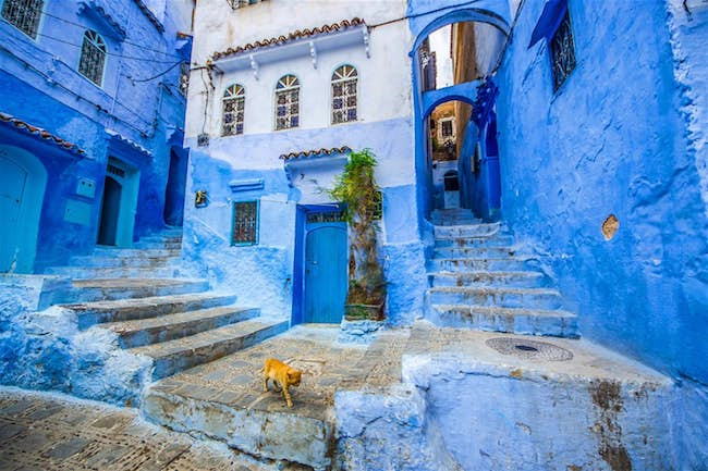 lac-vao-me-cung-xanh-dep-me-hon-xu-nghin-le-mot-dem-morocco-ivivu-4