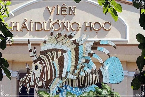 vien-hai-duong-hoc-nha-trang-ivivu