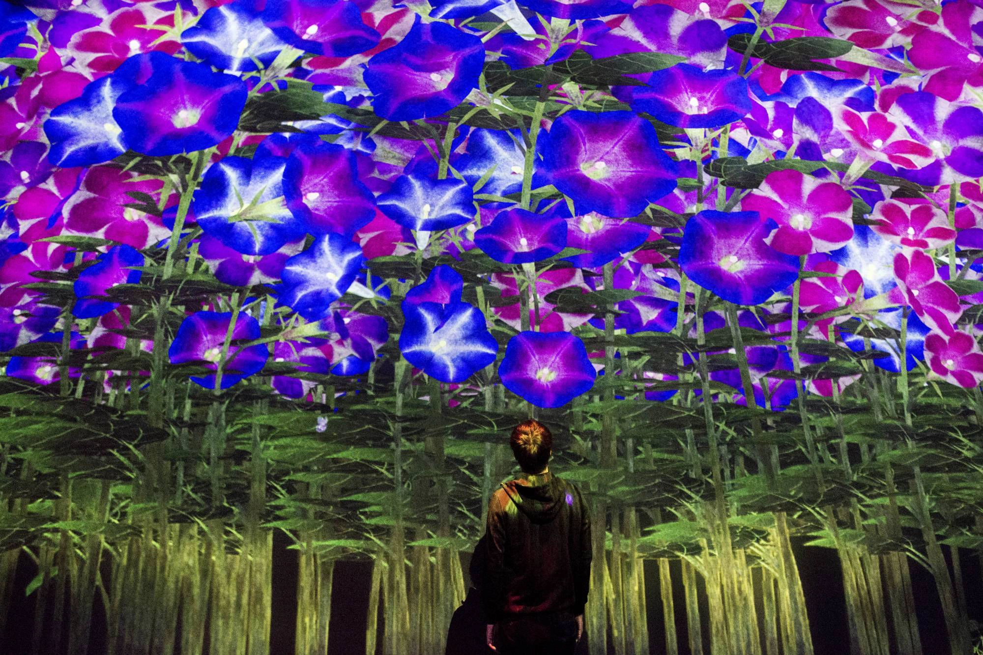 Ảnh: teamLab Ảnh: teamLab
