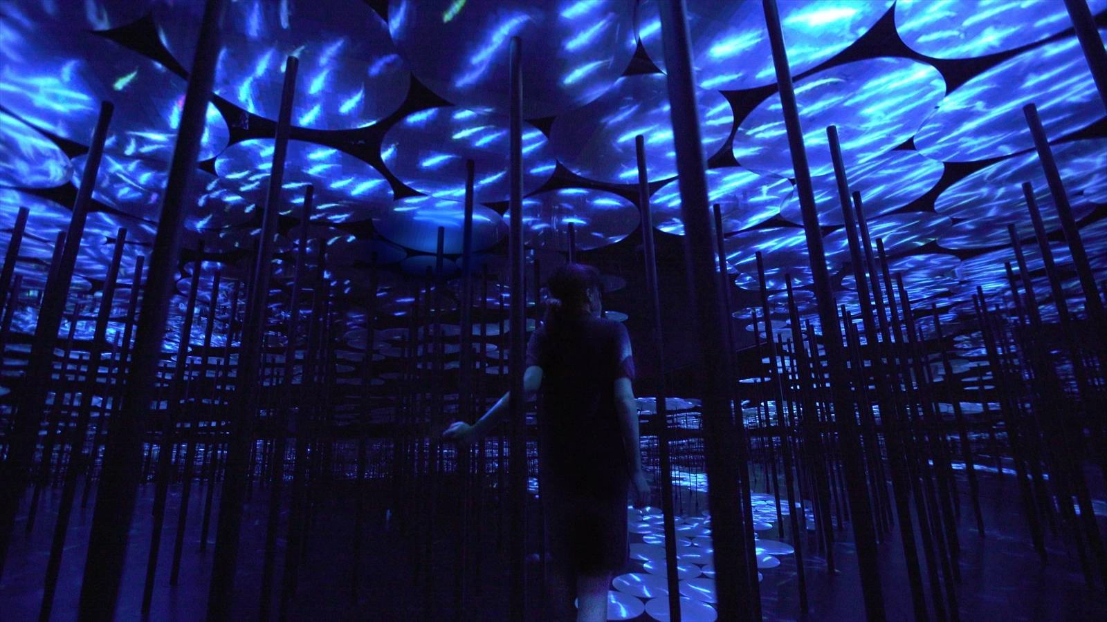Ảnh: teamLab Ảnh: teamLab