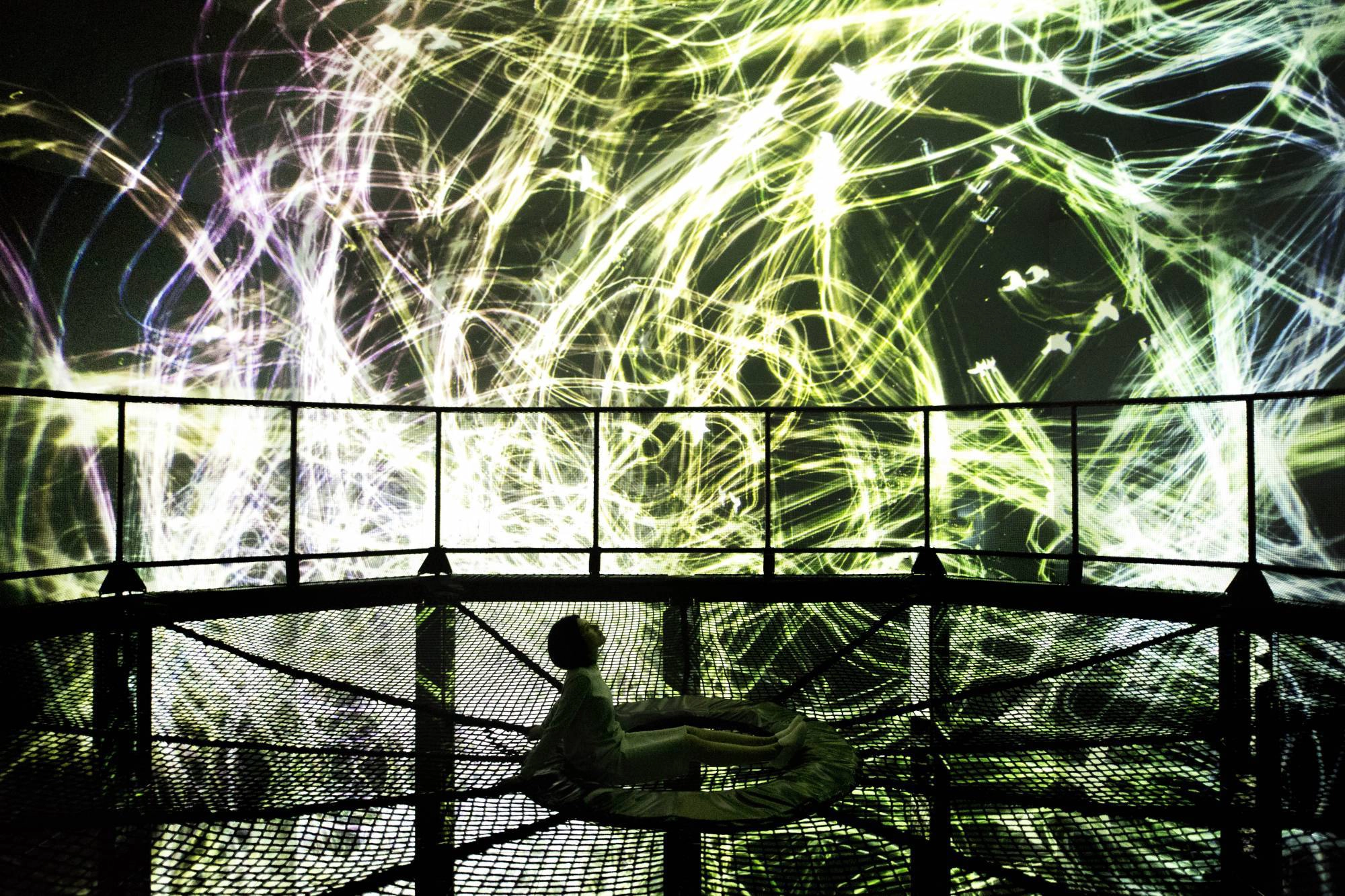 Ảnh: teamLab Ảnh: teamLab