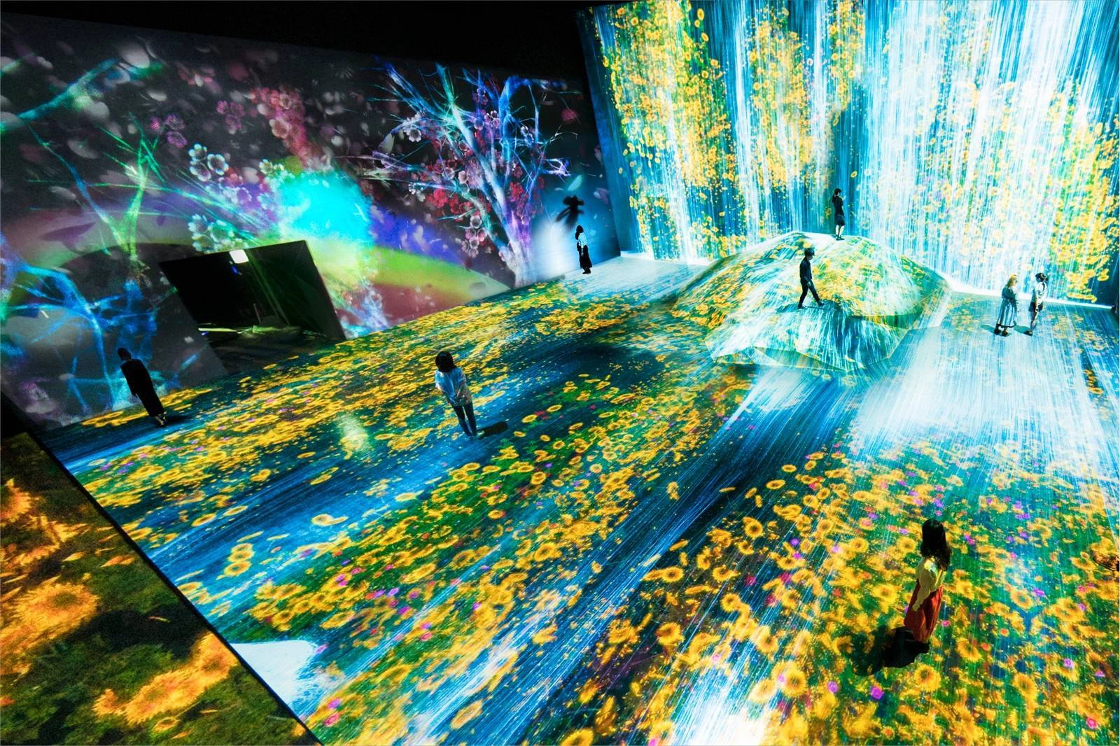 Ảnh: teamLab Ảnh: teamLab