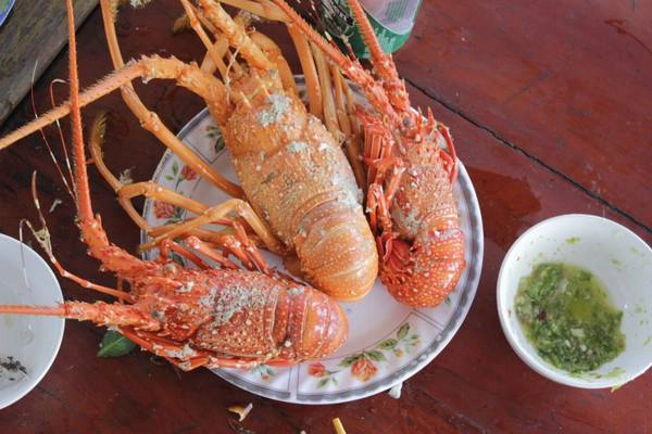 Tôm hùm đặc sản của Bình Hưng.