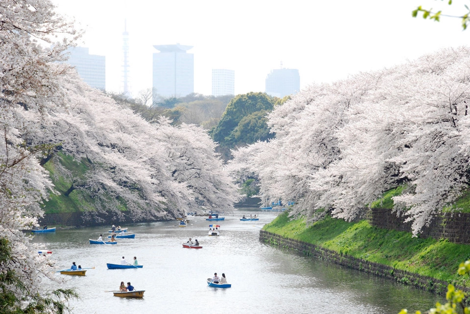 Tham quan những điểm đến miễn phí: Nhiều điểm đến của Tokyo được miễn phí hoặc có vé vào cửa khá rẻ. Tại quận Ueno có một công viên với vẻ đẹp như tranh vẽ, đồng thời lại mở cửa miễn phí. Ngoài ra những bảo tàng quốc gia có vé vào cửa chỉ dưới 200.000 đồng. Tham quan những điểm đến miễn phí: Nhiều điểm đến của Tokyo được miễn phí hoặc có vé vào cửa khá rẻ. Tại quận Ueno có một công viên với vẻ đẹp như tranh vẽ, đồng thời lại mở cửa miễn phí. Ngoài ra những bảo tàng quốc gia có vé vào cửa chỉ dưới 200.000 đồng.
