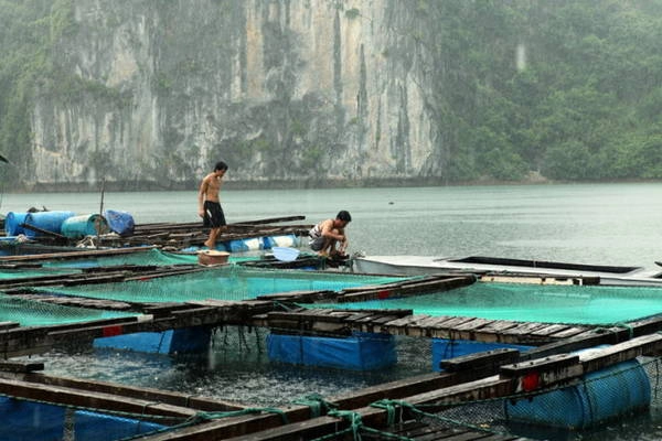 Các anh lính chuẩn bị bữa tối cho khách - Ảnh: BĂNG GIANG Các anh lính chuẩn bị bữa tối cho khách - Ảnh: BĂNG GIANG