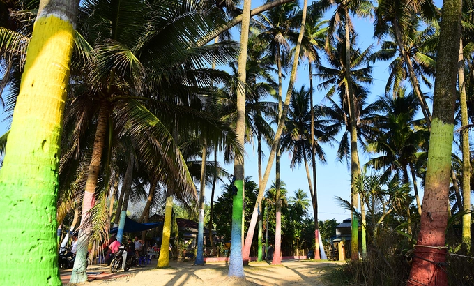 Hàng dừa rực rỡ sắc màu phía cuối làng đã tạo nên một không gian khác lạ. Hàng dừa rực rỡ sắc màu phía cuối làng đã tạo nên một không gian khác lạ.