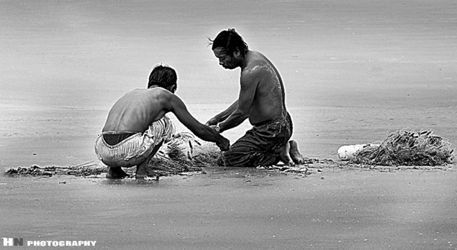 Không khí lao động hăng say, rộn ràng cả một vùng biển. Những hàng mồ hôi lăn dài trên khuôn mặt góc cạnh của những người dân chài. Bao đời nay vẫn thế, họ vẫn mải miết với những con sóng dập dềnh.