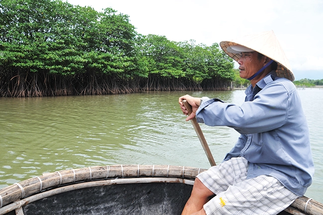 Ngư dân Trần Cường chèo thuyền thúng gần khu rừng đước xanh mướt trên dòng sông Bù Lu. Ngư dân Trần Cường chèo thuyền thúng gần khu rừng đước xanh mướt trên dòng sông Bù Lu.