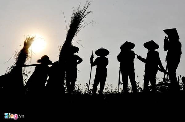Mặt trời lên cao cũng là lúc họ hoàn tất công việc, nghỉ ngơi trên đồng.