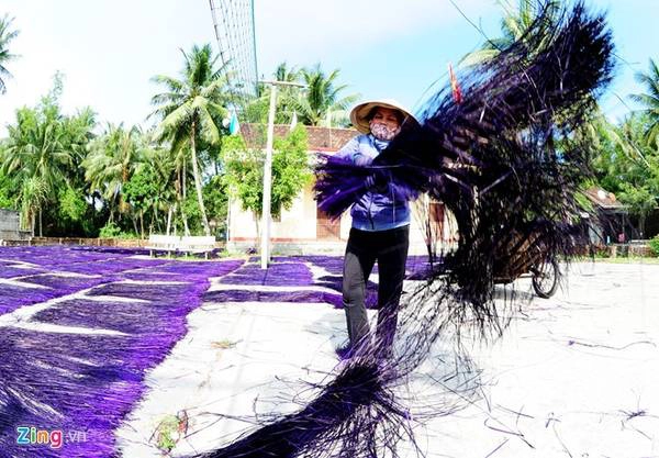 Sợi cói nhuộm màu xong được mang ra sân phơi khô. 