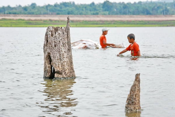 Những gốc cây khô cổ thụ còn sót lại trên lòng hồ Ea Kao - Ảnh: Tiến Thành lang-du-ben-long-ho-ea-kao-ivivu-6