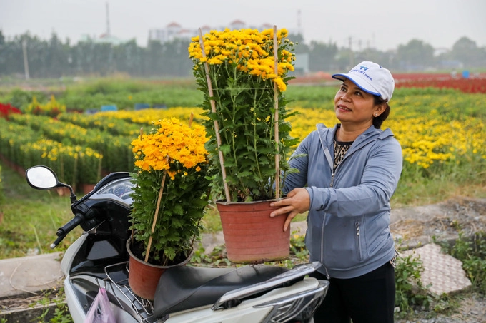 Sau khi xem hoa, bà Huỳnh Thúy (huyện Bình Chánh) mua hai chậu cúc với giá 80.000 đồng. "Thấy hoa nở đẹp nên tôi mua về chưng trong nhà cho có không khí Tết sớm. Năm nào tôi cũng ghé đây lấy hàng về bán. Hoa đẹp không thua gì ở miền Tây nhưng rẻ hơn vì chi phí vận chuyển ít", bà Thúy nói.