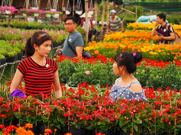 Những luống hoa được đặt san sát nhau, khách nên cẩn thận khi đi vào sâu bên trong, tránh gây ảnh hưởng xấu đến cây. Không nên bứt hoa để cầm tạo dáng hay xả rác bừa bãi. Ảnh: Hoàng Phú Cường Những luống hoa được đặt san sát nhau, khách nên cẩn thận khi đi vào sâu bên trong, tránh gây ảnh hưởng xấu đến cây. Không nên bứt hoa để cầm tạo dáng hay xả rác bừa bãi. Ảnh: Hoàng Phú Cường