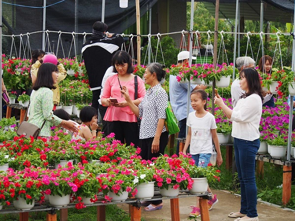Là thành phố hoa lớn nhất miền Tây, Sa Đéc cung cấp hoa cảnh cho nhiều nơi. Từ đầu tháng Chạp, nơi đây đã thu hút đông du khách về tham quan. Đường hoa Sa Nhiên – Cai Dao với dài độ 2,3 km là nơi tập trung đông nhà trồng hoa, thuận tiện cho khách tham quan. Là thành phố hoa lớn nhất miền Tây, Sa Đéc cung cấp hoa cảnh cho nhiều nơi. Từ đầu tháng Chạp, nơi đây đã thu hút đông du khách về tham quan. Đường hoa Sa Nhiên – Cai Dao với dài độ 2,3 km là nơi tập trung đông nhà trồng hoa, thuận tiện cho khách tham quan.