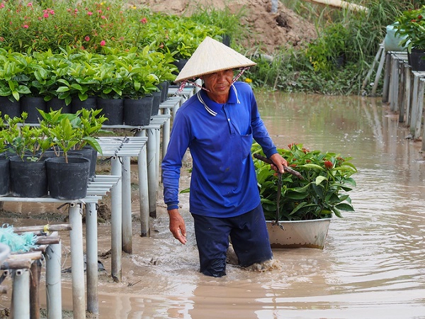 Thú chơi hoa ngày Tết của người Việt ngày càng phát triển. Một người trồng hoa lâu năm tại Sa Đéc cho biết: "Do đây là nghề truyền thống nhiều đời, chúng tôi hiện phải giữ và phát triển, để vừa có thêm tiền sinh hoạt cho gia đình mà cũng mang lại không khí của ngày Tết từ việc buôn bán cho bạn hàng, du khách" Thú chơi hoa ngày Tết của người Việt ngày càng phát triển. Một người trồng hoa lâu năm tại Sa Đéc cho biết: "Do đây là nghề truyền thống nhiều đời, chúng tôi hiện phải giữ và phát triển, để vừa có thêm tiền sinh hoạt cho gia đình mà cũng mang lại không khí của ngày Tết từ việc buôn bán cho bạn hàng, du khách"