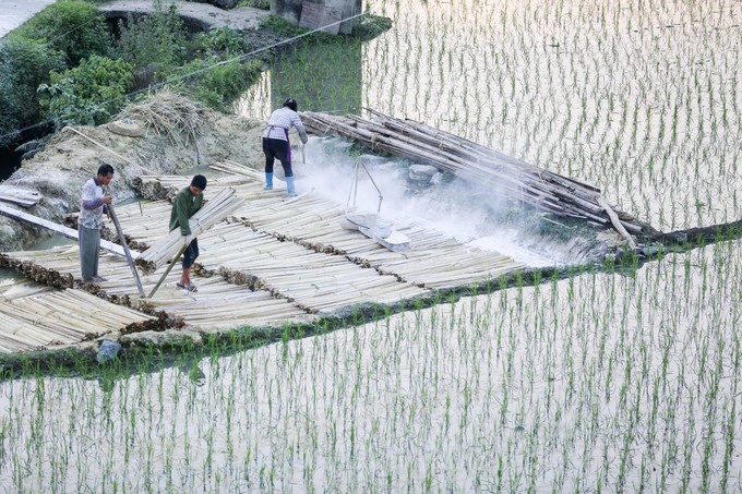 Sau khi vận chuyển về làng, những bó tre được ngâm trong hố nước vôi để đẩy nhanh quá trình phân hủy. Công đoạn này mất khoảng vài ngày, giúp những thân cây mềm ra.