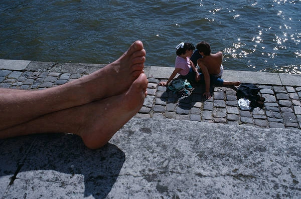 Mùa hè bên bờ sông Seine. Mùa hè bên bờ sông Seine.