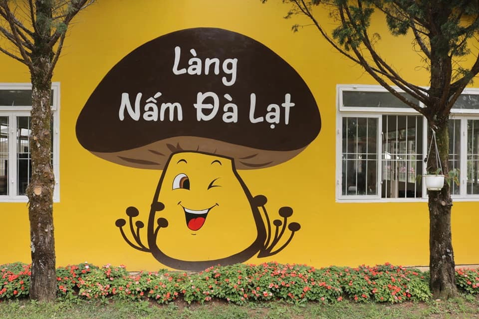 làng nấm đl