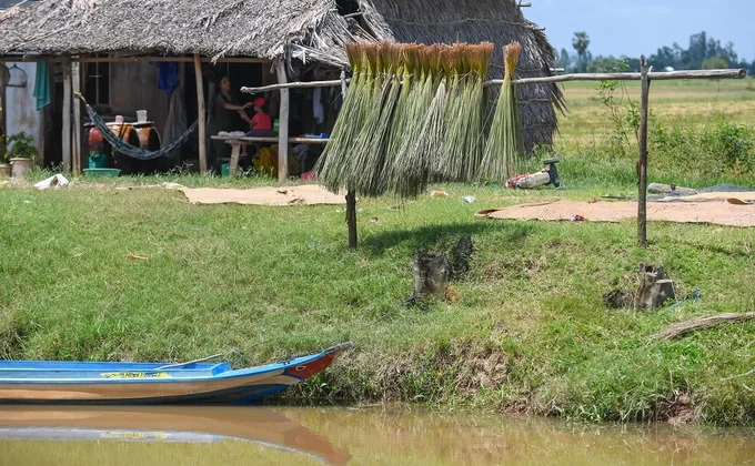 Những bó cỏ bàng phơi trước cửa nhà một người dân ở ấp Trấn Thệ, xã Phú Mỹ. Đi dọc theo con kênh chạy qua xã vào những ngày nắng, khách tham quan có thể thấy cảnh người dân đang phơi cỏ bàng và đan lát đồ thủ công trước hiên nhà.