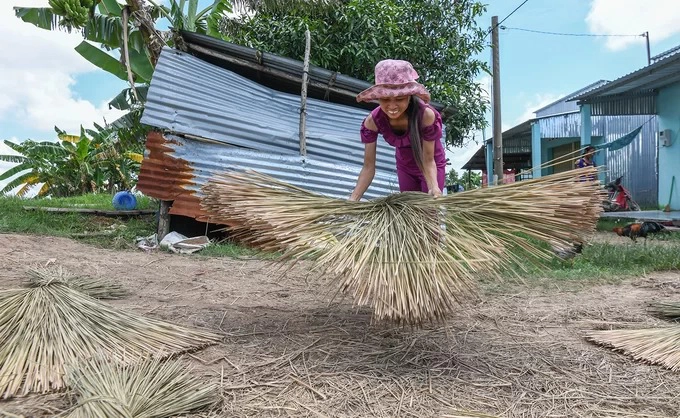 Chị Sã Rêl (xã Phú Mỹ) mang cỏ bàng ra sân phơi vào giữa trưa. Nếu trời nhiều nắng, người dân chỉ cần phơi trong ba ngày. Những bó cỏ đã khô tiếp tục được đem đi ép thuê tại một nhà máy gần xã. Trước đây khi chưa có máy móc, người dân sử dụng chiếc chày lớn để đập dẹt cỏ.