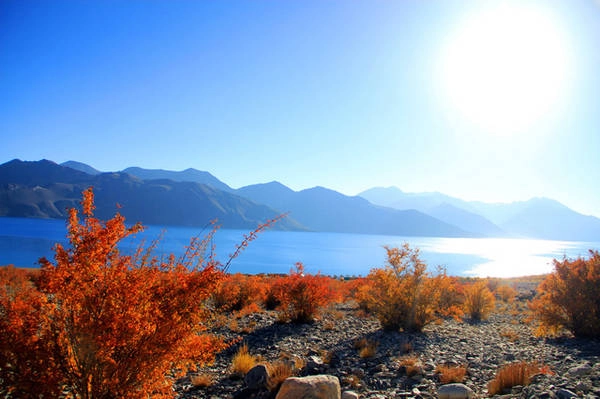 Cho đến khi quay về cuộc sống hiện tại, nhắm mắt lại tôi vẫn nhớ như in hồ Pangong đang soi bóng ngạo nghễ dưới dãy núi. Tôi nhớ mùi trà Masala nóng hổi buổi sáng sớm hôm đó, bầu trời trong xanh không một gợn mây, con đường uốn lượn quanh hồ đẹp ở từng khúc quanh.