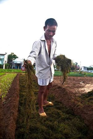 Người dân làng Trà Quế luôn tự hào về những sản phẩm mà họ tạo ra. Ông Thanh, một lão nông trong làng, chia sẻ họ không sử dụng hoá chất trong quá trình trồng trọt. Ngoài việc sử dụng loại phân đặc biệt, phương pháp canh tác độc đáo đã giúp rau Trà Quế trở nên nổi tiếng. Nhiều người lấy hạt giống để trồng ở các làng khác nhưng chất lượng không tốt bằng". Bà Đỗ Thị Thanh, một người dân tròng làng, cho hay: “Rau Trà Quế thơm và lá nhỏ, bởi từ lúc gieo hạt đến khi thu hoạch chỉ mất 20 ngày. Đôi khi chúng tôi cũng hướng dẫn du khách trồng rau”. Người dân làng Trà Quế luôn tự hào về những sản phẩm mà họ tạo ra. Ông Thanh, một lão nông trong làng, chia sẻ họ không sử dụng hoá chất trong quá trình trồng trọt. Ngoài việc sử dụng loại phân đặc biệt, phương pháp canh tác độc đáo đã giúp rau Trà Quế trở nên nổi tiếng. Nhiều người lấy hạt giống để trồng ở các làng khác nhưng chất lượng không tốt bằng". Bà Đỗ Thị Thanh, một người dân tròng làng, cho hay: “Rau Trà Quế thơm và lá nhỏ, bởi từ lúc gieo hạt đến khi thu hoạch chỉ mất 20 ngày. Đôi khi chúng tôi cũng hướng dẫn du khách trồng rau”.