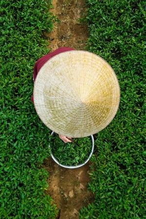 Chia sẻ với Zing.vn, Réhahn cho hay những thông tin về nhiều địa điểm đẹp của Việt Nam bằng tiếng Anh khá nghèo nàn. “Vì vậy, tôi muốn thu thập tài liệu và tạo ra một Wikipedia về Việt Nam trên website của riêng tôi, để mọi người biết đến Việt Nam nhiều hơn”. Theo kế hoạch, người đàn ông này sẽ đến TP HCM để tổ chức một buổi triển lãm và ký sách vào tháng 6. Lợi nhuận sẽ chuyển cho tổ chức Christina Noble Foundation để giúp đỡ các trẻ em nghèo. Bên cạnh đó, anh cũng sẽ đưa những bức ảnh chụp về cảnh vật và con người Việt Nam Nam tham dự một triển lãm lớn tại Pháp vào tháng 9. Sự kiện này thu hút khoảng 200.000 người tham dự mỗi năm. Chia sẻ với Zing.vn, Réhahn cho hay những thông tin về nhiều địa điểm đẹp của Việt Nam bằng tiếng Anh khá nghèo nàn. “Vì vậy, tôi muốn thu thập tài liệu và tạo ra một Wikipedia về Việt Nam trên website của riêng tôi, để mọi người biết đến Việt Nam nhiều hơn”. Theo kế hoạch, người đàn ông này sẽ đến TP HCM để tổ chức một buổi triển lãm và ký sách vào tháng 6. Lợi nhuận sẽ chuyển cho tổ chức Christina Noble Foundation để giúp đỡ các trẻ em nghèo. Bên cạnh đó, anh cũng sẽ đưa những bức ảnh chụp về cảnh vật và con người Việt Nam Nam tham dự một triển lãm lớn tại Pháp vào tháng 9. Sự kiện này thu hút khoảng 200.000 người tham dự mỗi năm.