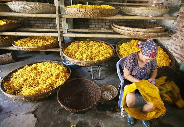 Thời gian trước, mỗi gia đình là một lò dệt tơ nhưng đến nay nghề đã mai một, người dân không tự trồng dâu nuôi tằm được nên phải nhập kén. Tháng 2, 3, 8, 9, 10 là thời điểm mát mẻ sẽ ươm được kén trắng, thời điểm còn lại chủ yếu làm kén đỏ, bà Đoàn Thị Cây vừa nói, tay vừa se tách những sợi tơ đang vón cục.