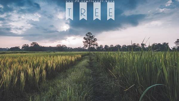 lao-co-mot-noi-binh-yen-o-ngay-canh-viet-nam-ivivu-8