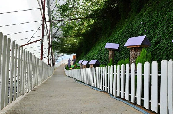 Lối đi ở Lavender Garden được trang trí bởi hàng rào trắng muốt, tô điểm là những tiểu cảnh vô cùng xinh xắn.