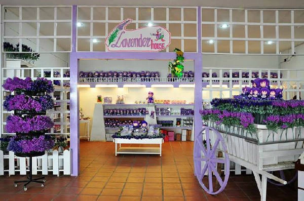 Ở đây còn có Lavender House bày bán các sản phẩm từ oải hương.