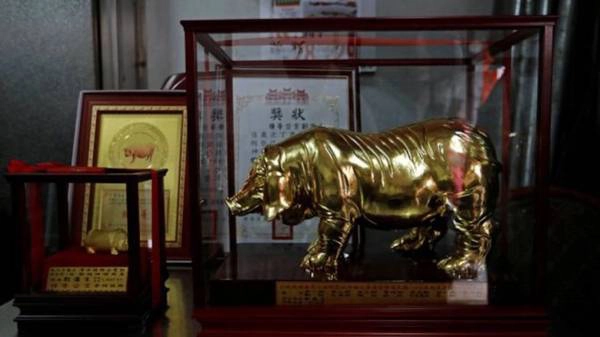 Chủ sở hữu con lợn thắng cuộc sẽ giành được cúp vàng, với ý nghĩa đem lại may mắn và sung túc cho năm mới. Chủ sở hữu con lợn thắng cuộc sẽ giành được cúp vàng, với ý nghĩa đem lại may mắn và sung túc cho năm mới.