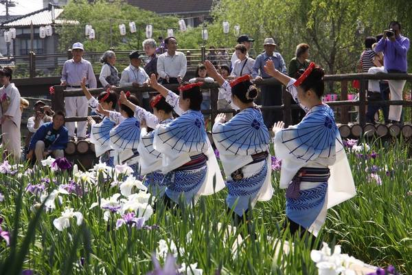 Từ xưa, hoa diên vĩ (còn có tên là hoa xương bồ, hoa lay ơn) được mọi người yêu mến, coi là loài hoa báo hiệu Nhật Bản đã vào thời gian đầu hè. 