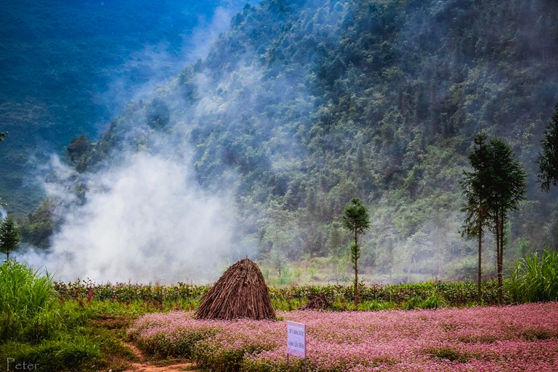 ha-giang-mua-tam-giac-mach-ivivu-9