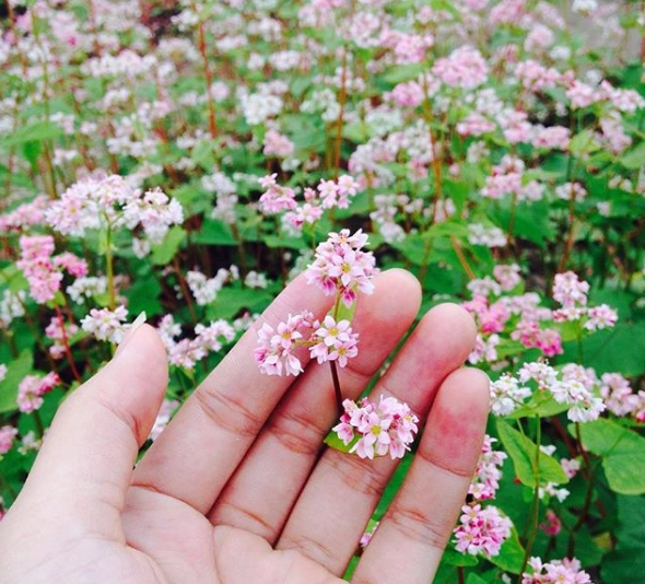 Ảnh:@tinddimaf_ Ảnh:@tinddimaf_