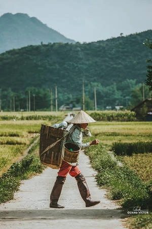 Dường như đã quá quen với sự ghé thăm của khách du lịch, khi xuất hiện ống kính máy ảnh, người dân nơi đây vẫn bình thản với công việc thường ngày. Dường như đã quá quen với sự ghé thăm của khách du lịch, khi xuất hiện ống kính máy ảnh, người dân nơi đây vẫn bình thản với công việc thường ngày.