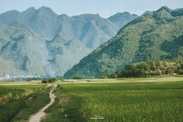 Ngoài ngắm cảnh, trải nghiệm thung lũng mùa lúa chín, những người yêu thích hoạt động ngoài trời sẽ có cơ hội tham gia hành trình chinh phục những dãy núi. Ngoài ngắm cảnh, trải nghiệm thung lũng mùa lúa chín, những người yêu thích hoạt động ngoài trời sẽ có cơ hội tham gia hành trình chinh phục những dãy núi.